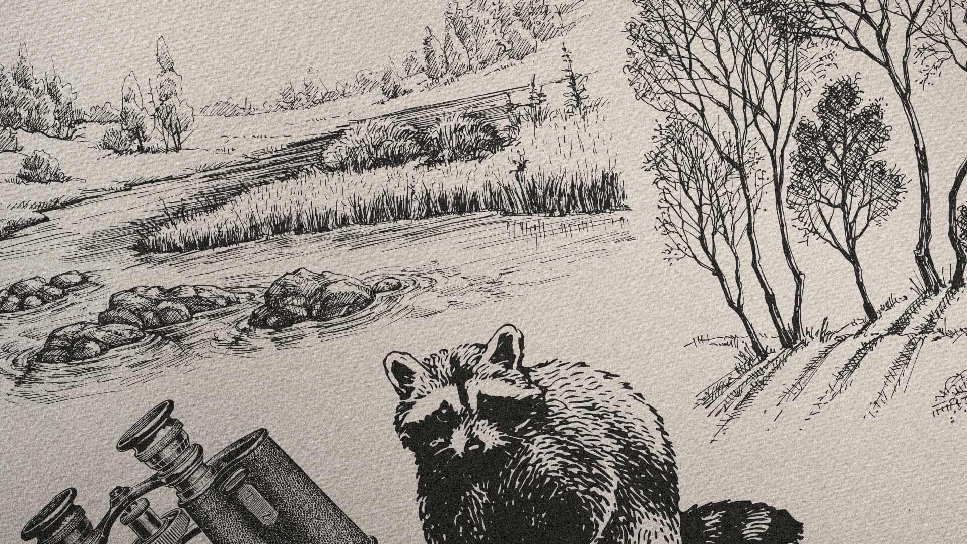 Zoom in of black and white illustrations that are drawn in a hatch style.