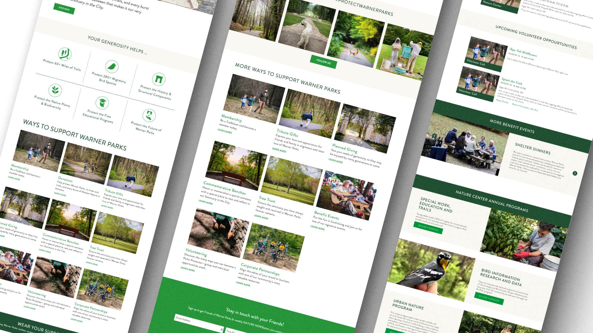 Grid of images showing different website pages.