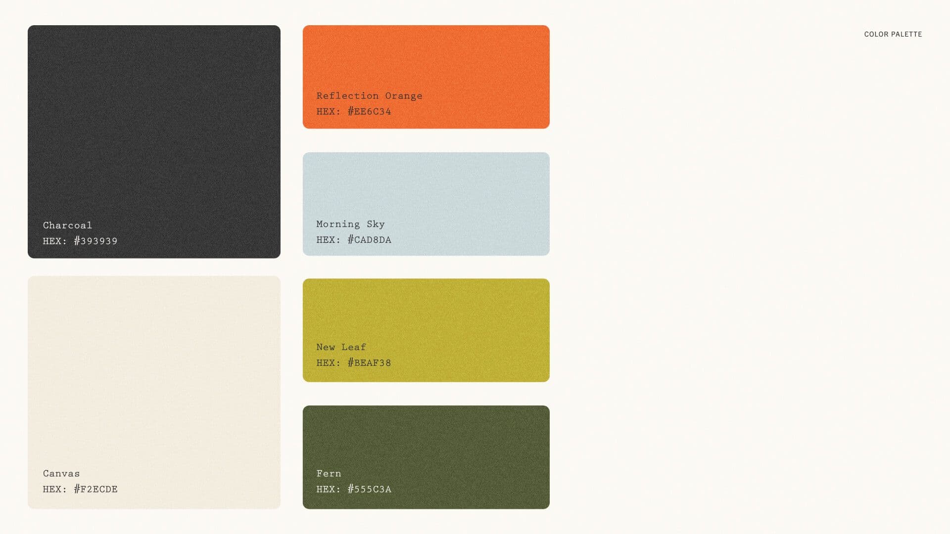 Color palette showing the primary, secondary, and accent colors of the brand.