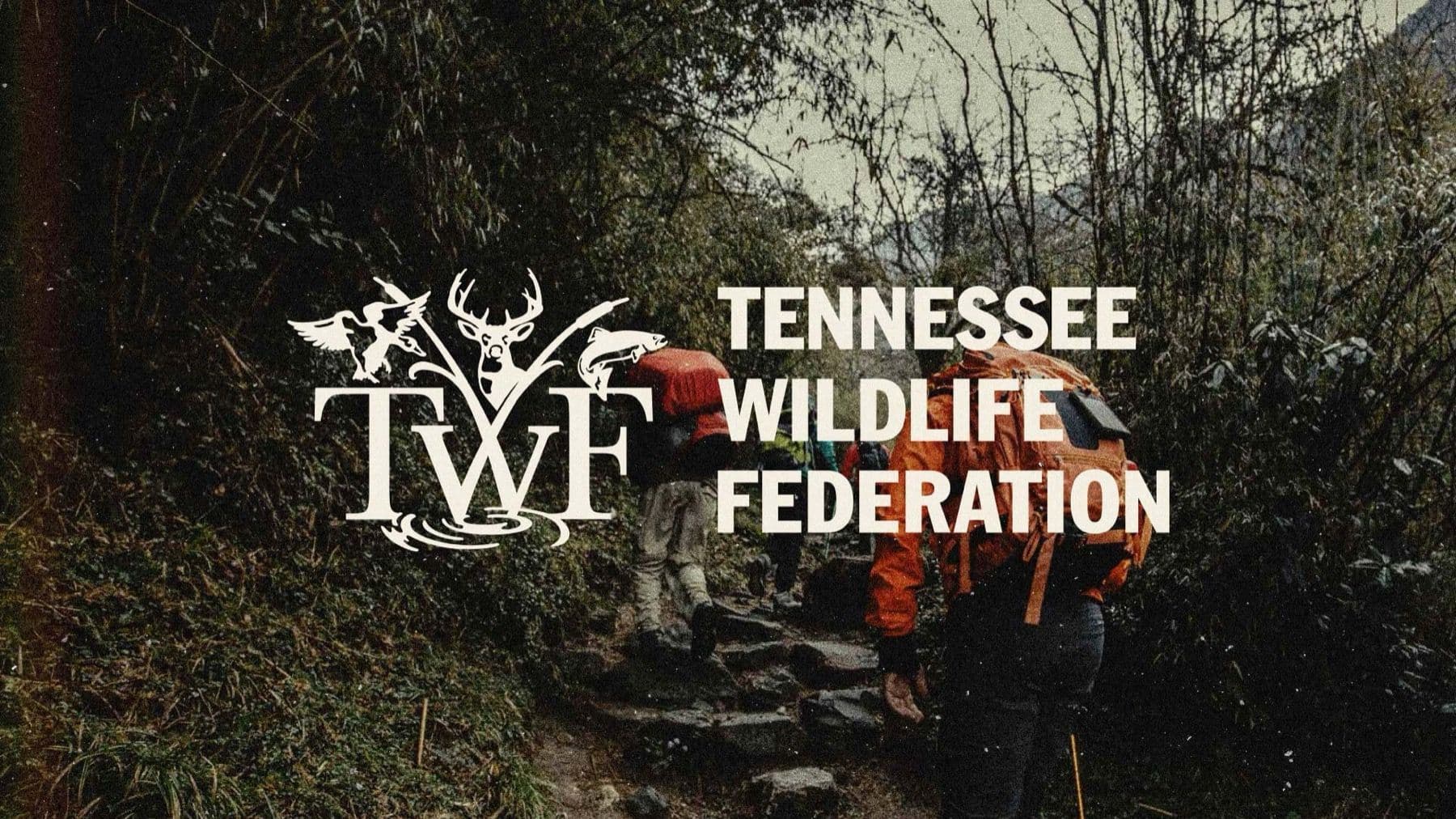 Tennessee Wildlife Federation branding