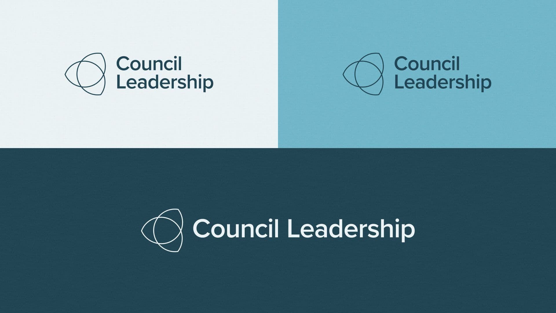 Council Leadership brand work, image 2