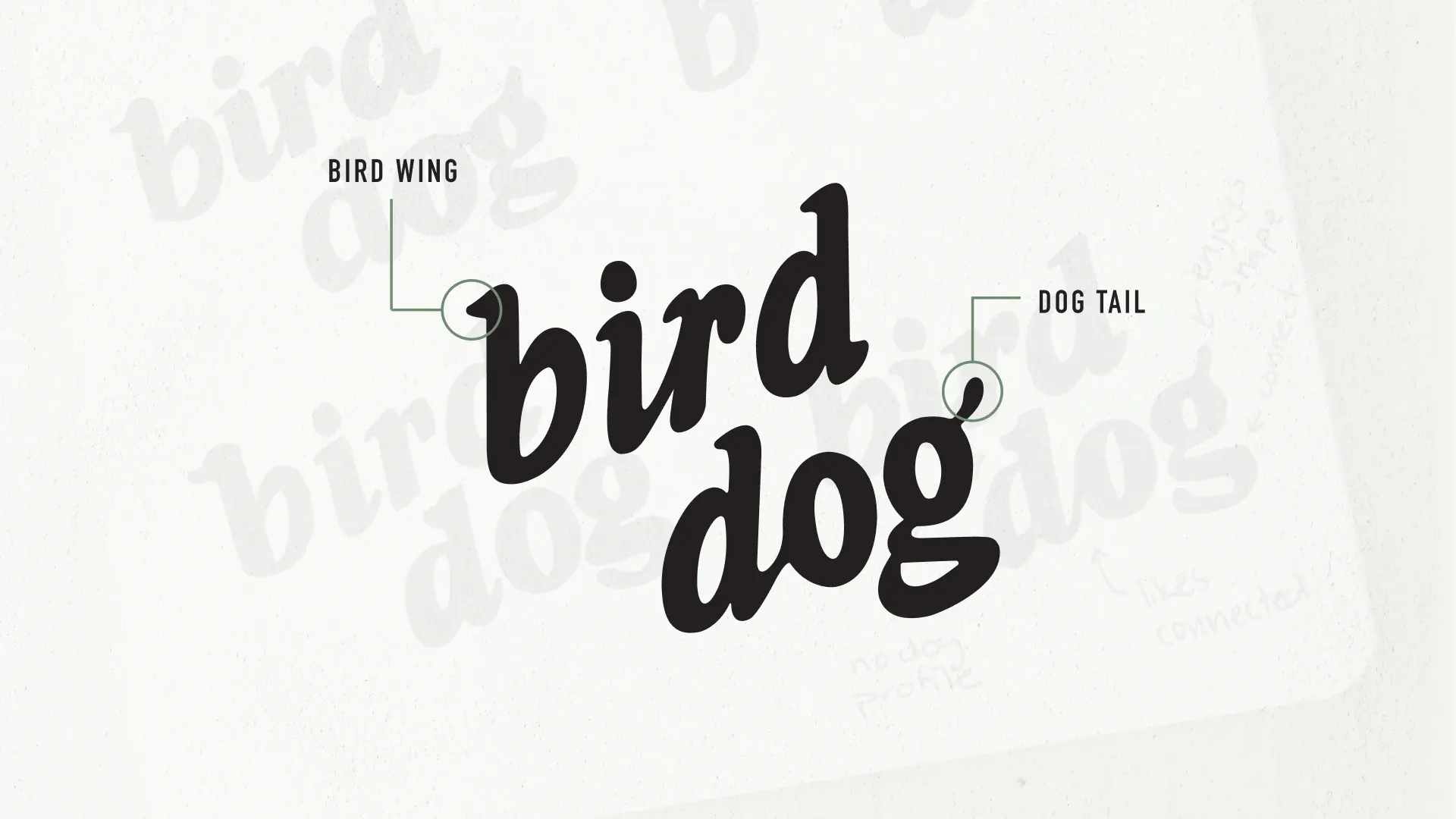 Close-up of the hidden "bird wing" and "dog tail" on the bird dog logo