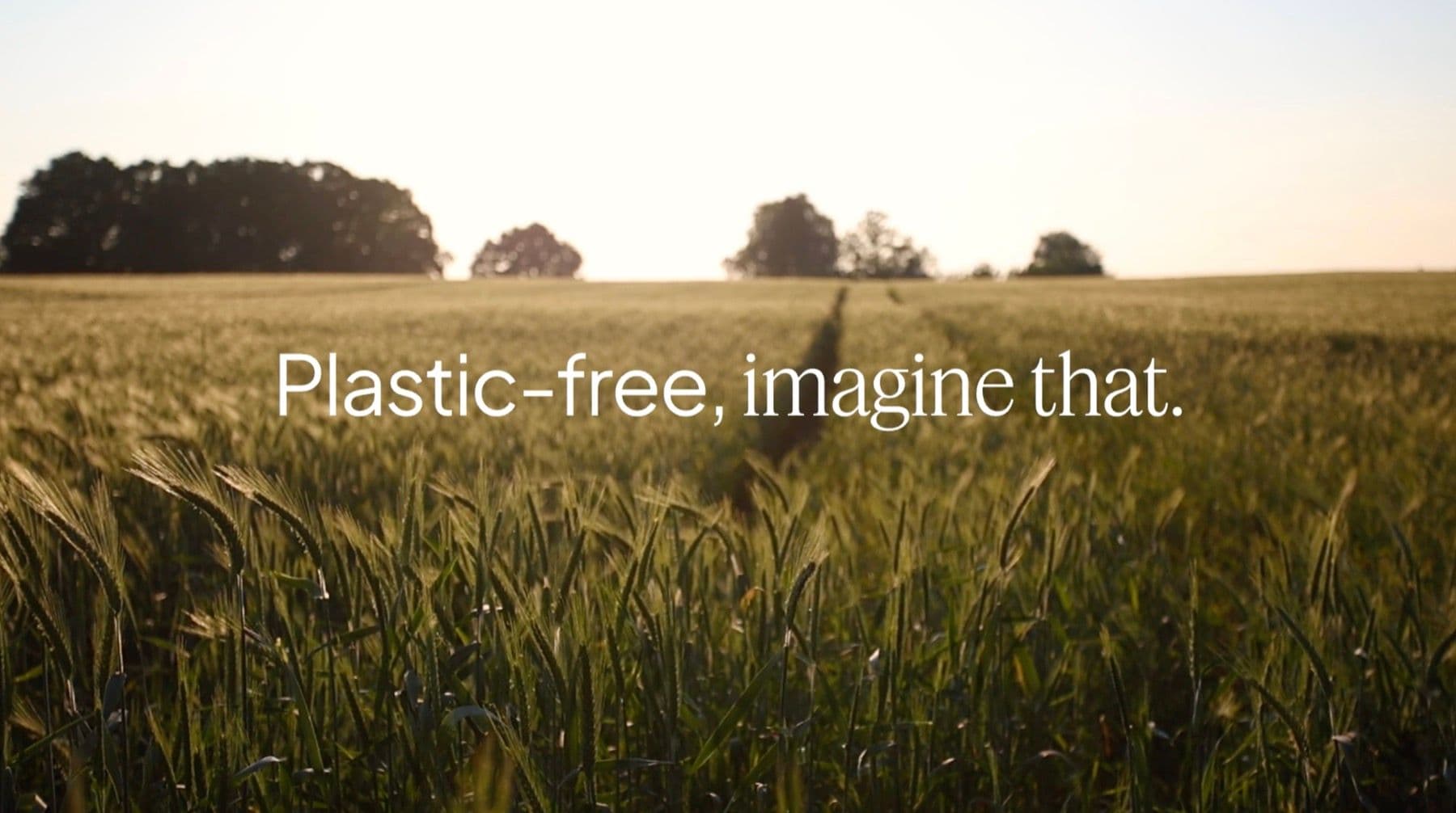 A wheat field at golden hour reading "Plastic-free, imagine that."
