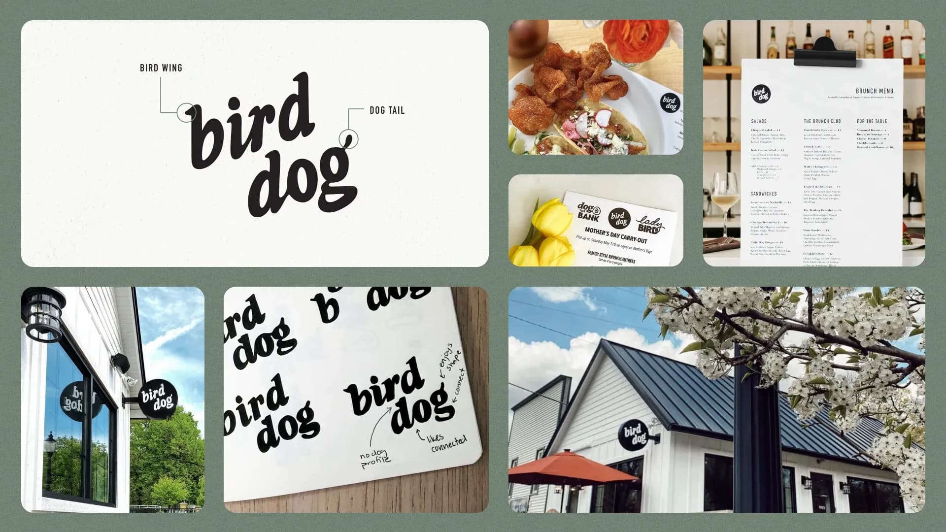 Bento box visual representation of the Bird Dog logo in various applications including signage and menus