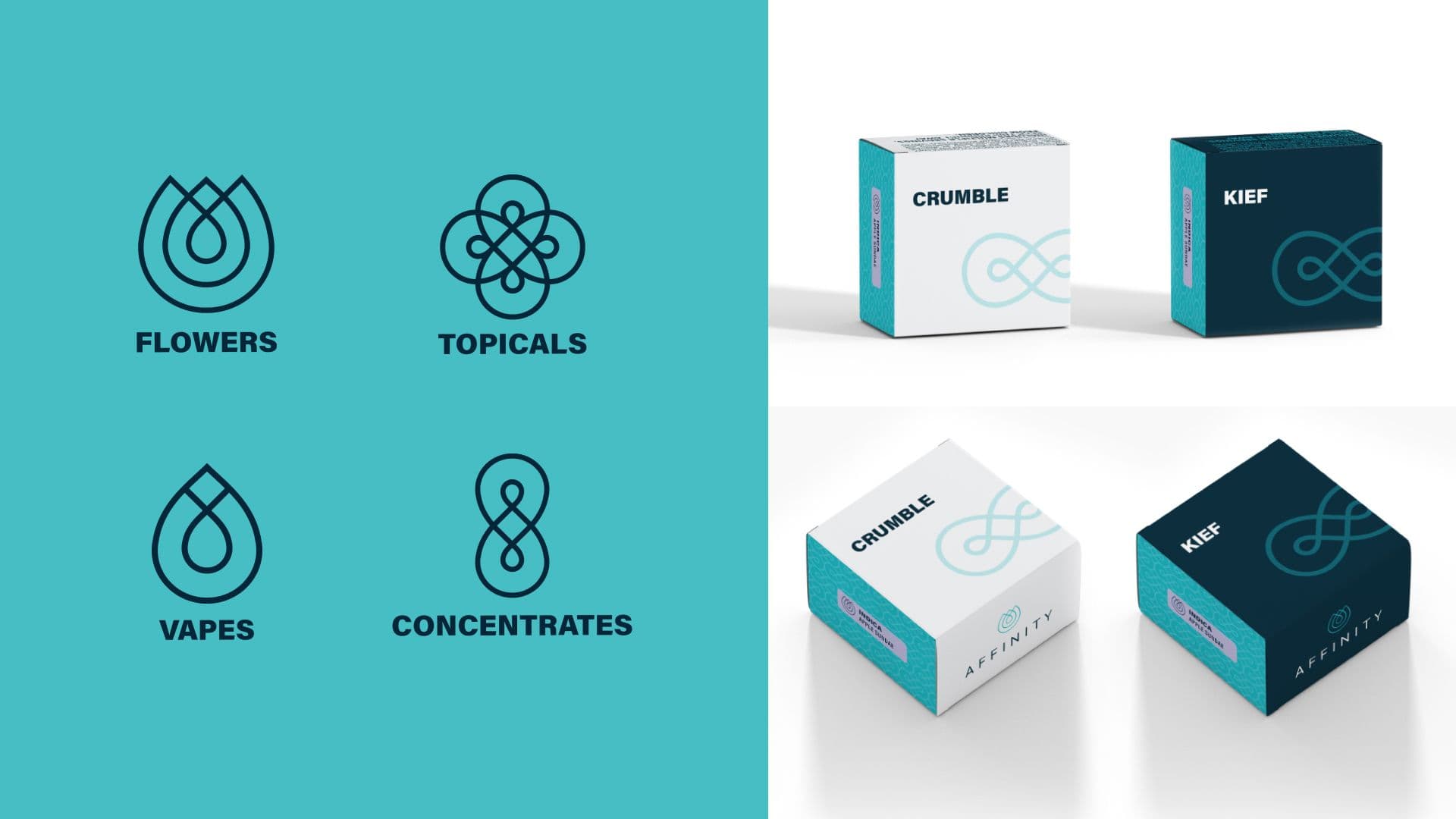 Affinity product iconography beside its packaging